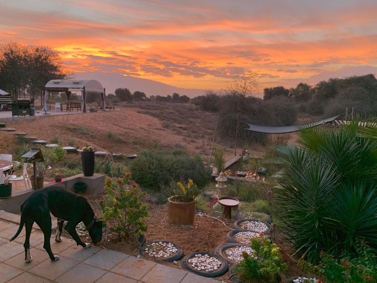 RAK Glamping Hotel Ras al-Khaimah Eksteriør billede