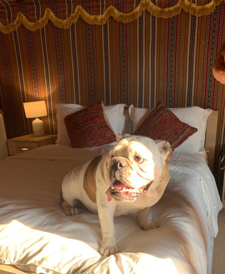 RAK Glamping Hotel Ras al-Khaimah Eksteriør billede