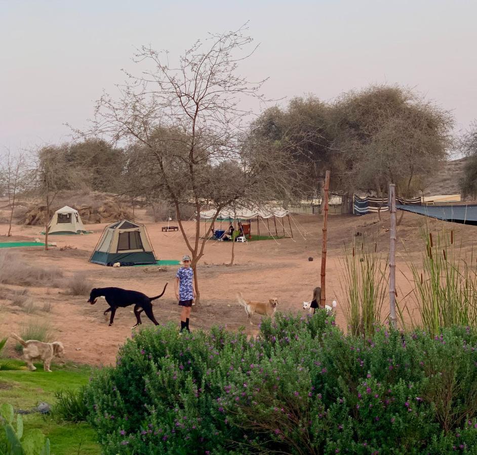RAK Glamping Hotel Ras al-Khaimah Eksteriør billede