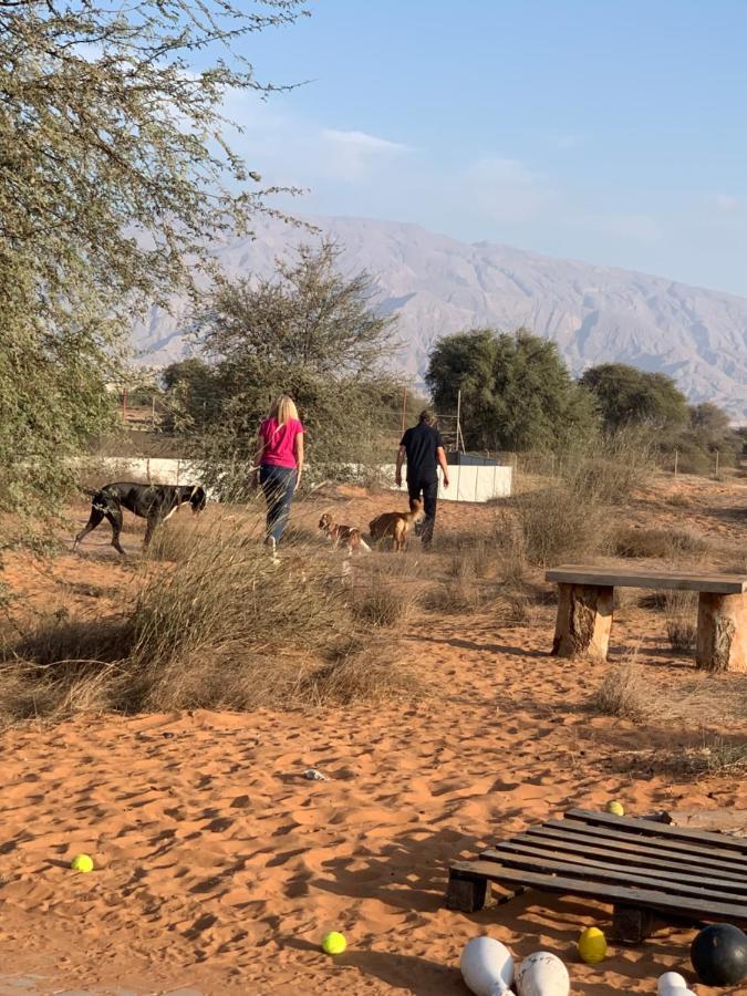 RAK Glamping Hotel Ras al-Khaimah Eksteriør billede